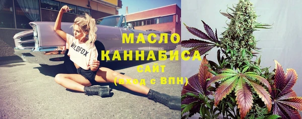 прущий лед Богданович