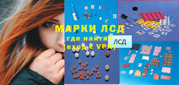 прущий лед Богданович