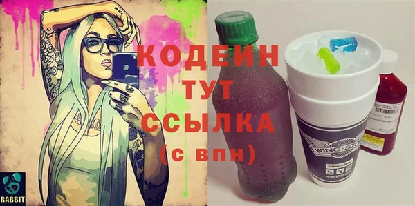прущий лед Богданович