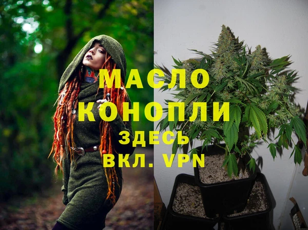 прущий лед Богданович