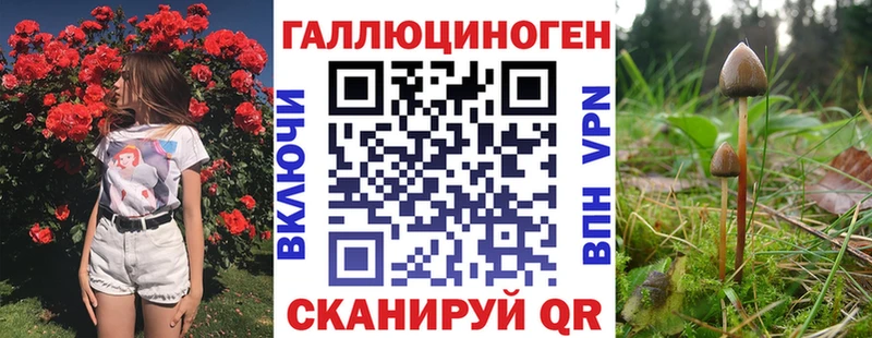Галлюциногенные грибы Magic Shrooms  Барнаул 